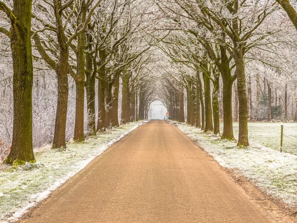 Frostiga lane vinterväg i Friesland — Stockfoto