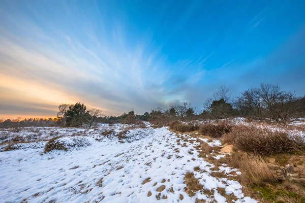 Paisagem de inverno em Drenthe com fina camada de neve — Fotografia de Stock