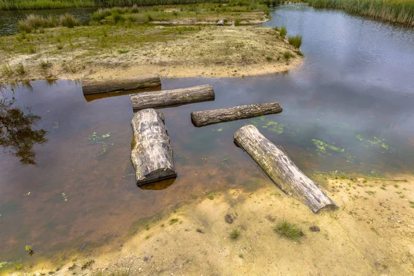 Pattern of Logs as Stepping stones in pond — Stock Photo, Image