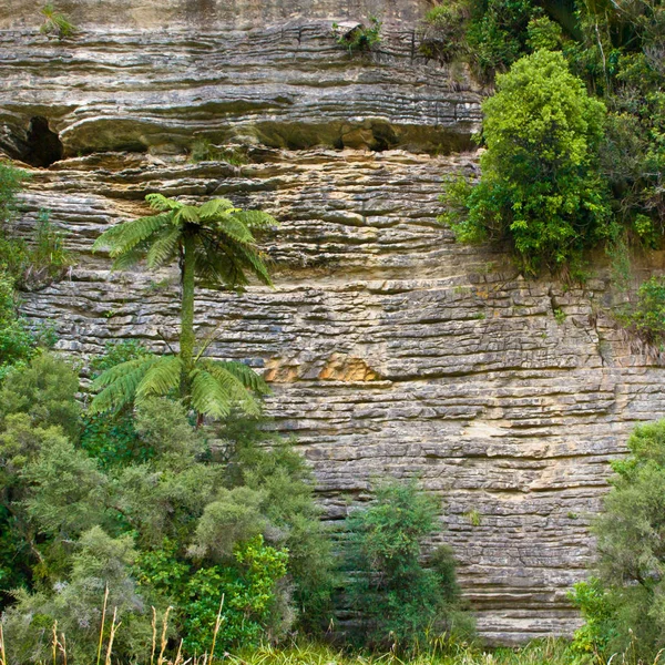 Rocas sedimentarias Nueva Zelanda — Foto de Stock