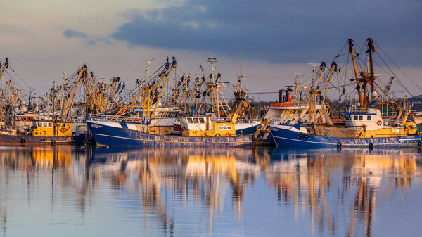 Fishery in Lauwersoog harbor