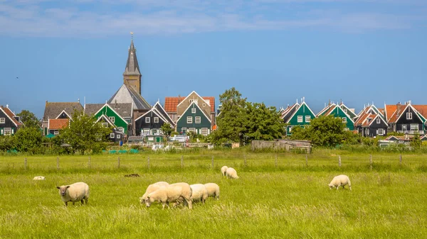 Panorama des traditionellen holländischen Dorfes mit buntem Holzhaus — Stockfoto