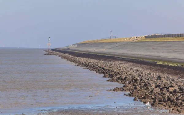 Holenderski morze grobli — Zdjęcie stockowe