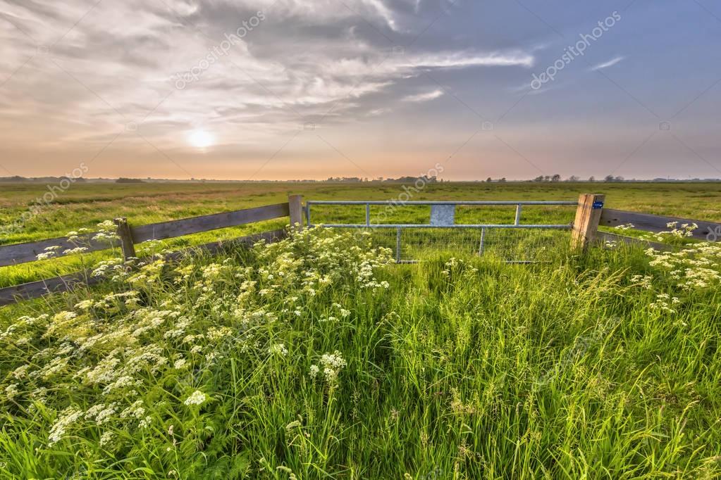 Zuidlaren