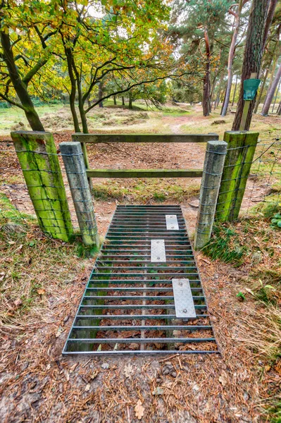 Eingang zum Naturschutzgebiet — Stockfoto