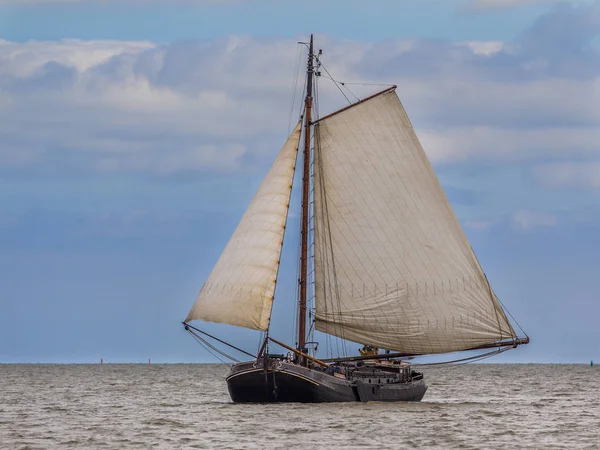 Flatbottom brown fleet sailing boat — Stock Photo, Image