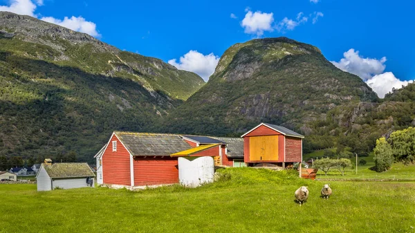 Granges et moutons dans un village agricole — Photo