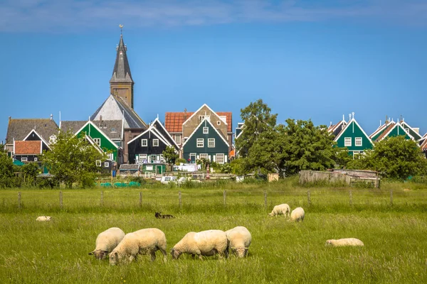 Görünümü geleneksel Hollanda köyü ile renkli ahşap evler — Stok fotoğraf