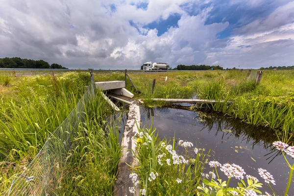 Wet Wildlife crossing culvert underpass with gangplank — Stock Photo, Image