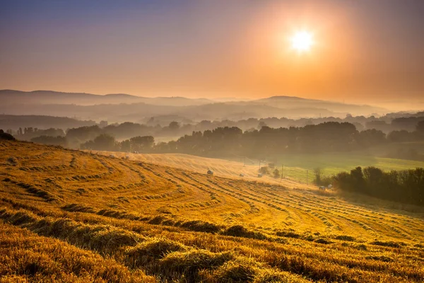 Toskanische Landschaft im Morgengrauen — Stockfoto