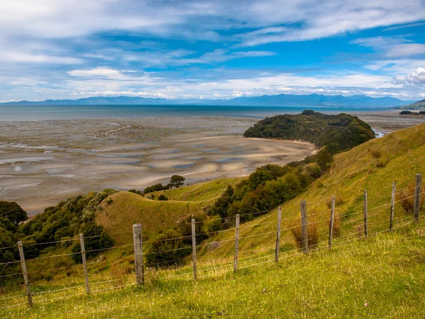 Visa över gräsmark med blommor på Puponga bay, Sydön, N — Stockfoto