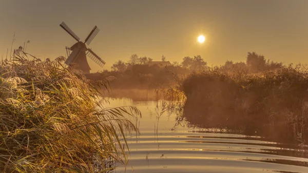 Nederlandsk vindmølle i tåkete våtmark – stockfoto