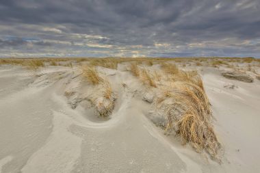 Genç Dunes oluşturulmaktadır