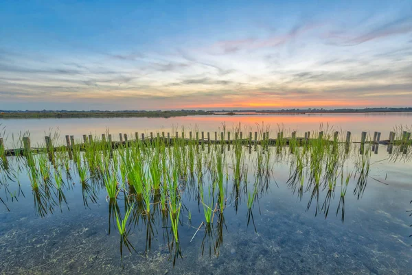 Západ slunce nad jezerem s ochranou pobřeží a příbřežní zóny — Stock fotografie