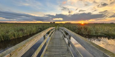 Ahşap köprü ve doğa rezerv