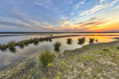 Bankalar yeni ıslak berm dalga korumalı