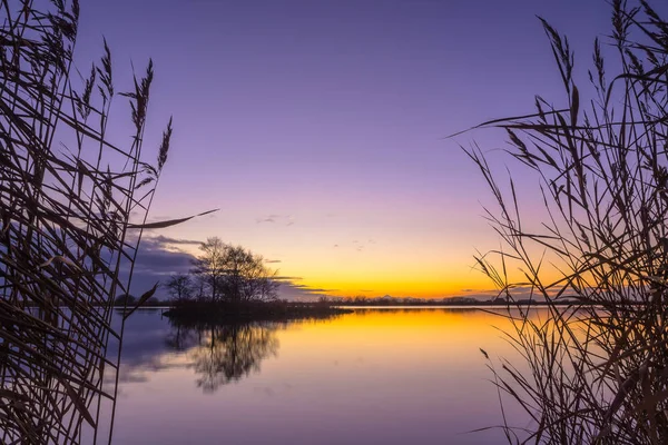Silhouette di canna al lago sereno — Foto Stock