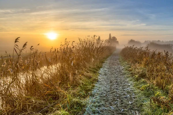 Vycházkové trasy prostřednictvím reed — Stock fotografie