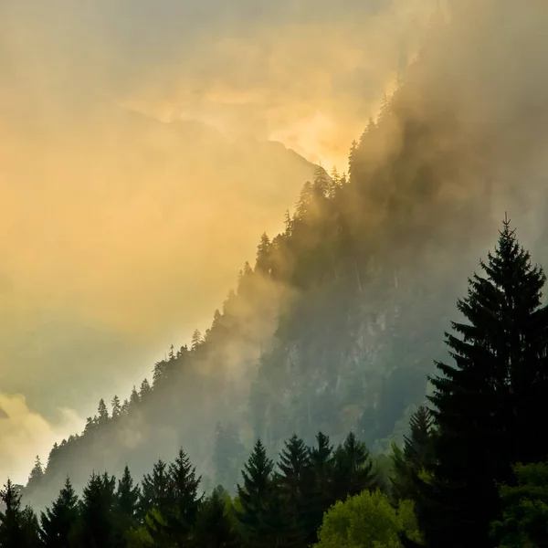 松の山の谷の日の出 — ストック写真