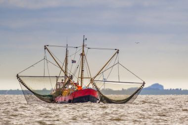 Karides balıkçı kesici teknesi Wadden Denizi