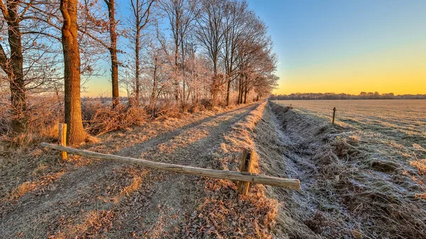 Paisaje de invierno agrícola holandés en la mañana clara — Foto de Stock