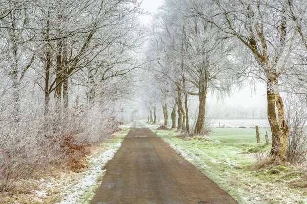 Camino frisón congelado invierno —  Fotos de Stock
