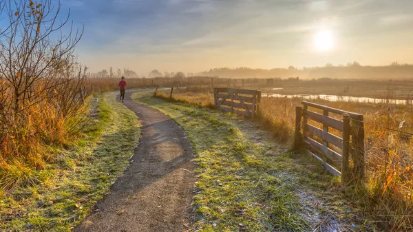 Recreation track in misty autumnal polder