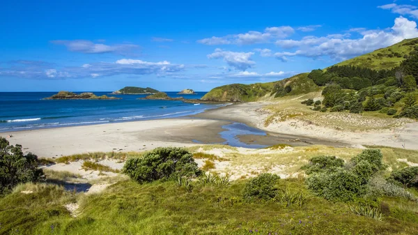 Pacific Ocean view at Whangarei heads — Stock Photo, Image