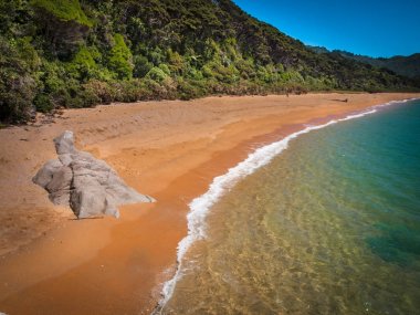 Tenha Totaranui Beach Yeni Zelanda