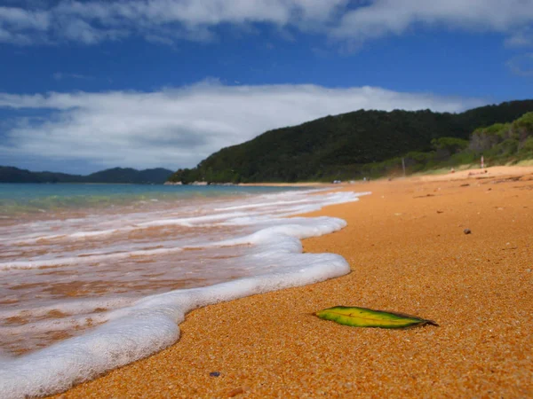 Schaum am Strand von totaranui abel tasman np — Stockfoto
