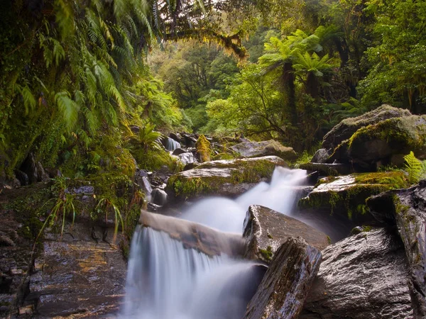 Gemäßigter Regenwaldwasserfall — Stockfoto