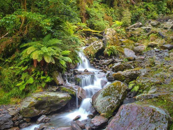 Überblick über Wasserfall im gemäßigten Neuseeland Regenwald — Stockfoto