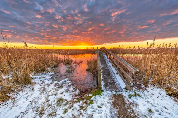 Зимовий пейзажний шлях над дерев'яним мостом — стокове фото