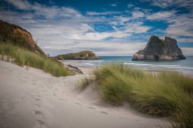 Yol kumul bitki örtüsü, ünlü Wharariki Beach vintage davet 