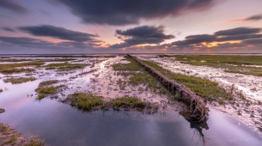 Wadden Denizi tuz bataklığı gün batımında