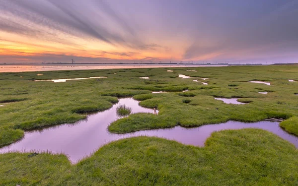 Landaanwinning in modder flats aan de Dollard kust — Stockfoto