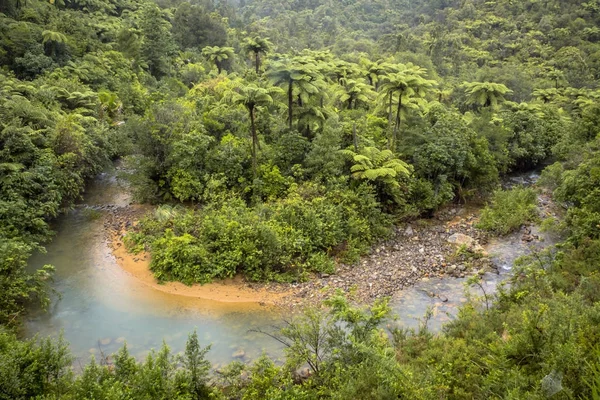 Meandrujące rzeki przez wzgórza Forested z Nowej Zelandii — Zdjęcie stockowe