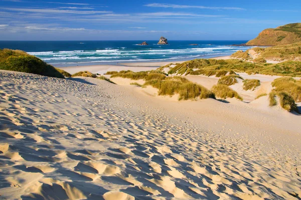 Plaj ve dunes davet — Stok fotoğraf