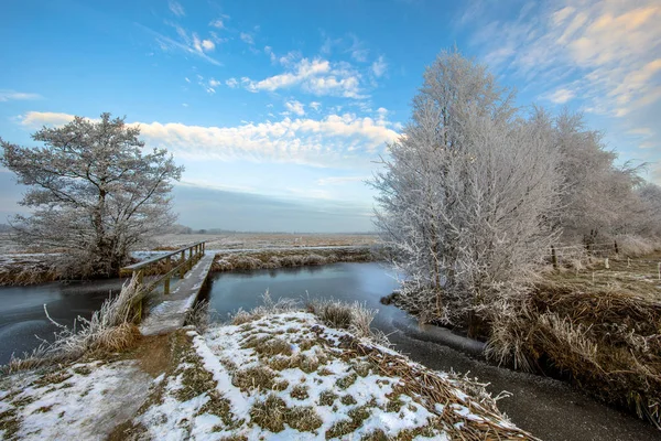 寒い朝にオランダのドレンテ州の歩道橋と冷凍運河の木造歩道橋 — ストック写真