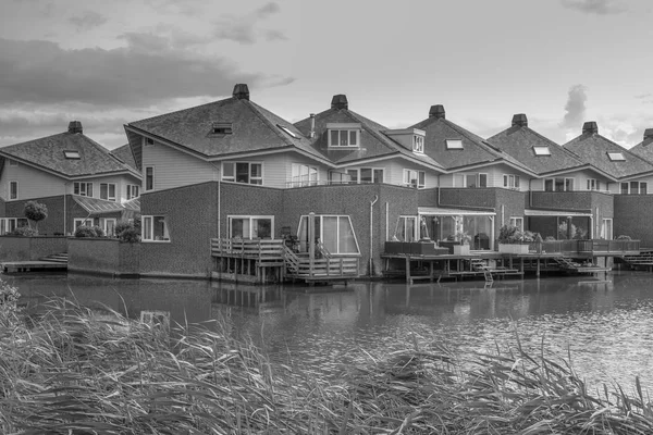 Современные Рядные Дома Террасой Берега Городской Зоне Хаге Нидерланды — стоковое фото