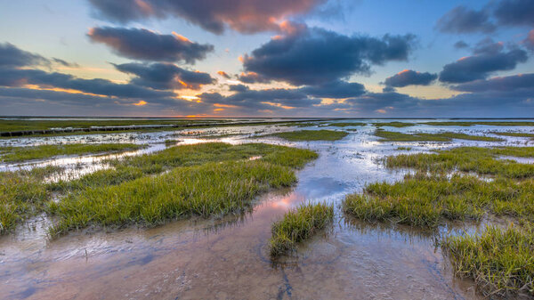Ваттовые морские грязевые равнины приливного болота, где создается новая земля на побережье Гронингена в Нидерландах
