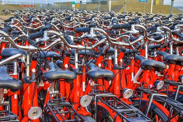 Rental bicycle parking — Stock Photo, Image