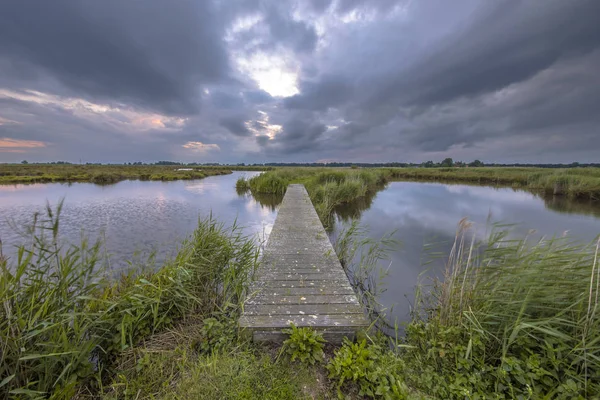 Дерев'яний пішохідний міст у заповіднику водно-болотних угідь — стокове фото