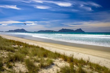 Sandy Beach Waipu güzel mavi gökyüzünün altında beyaz 