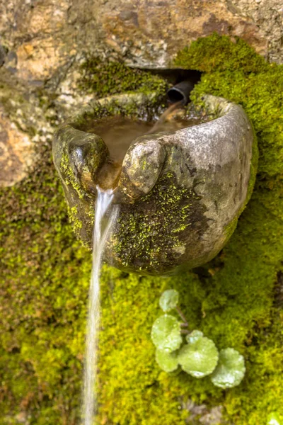 Fonte de água natural coberta de musgo — Fotografia de Stock