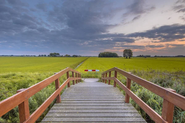 Houten brug in agrarische landschap — Stockfoto
