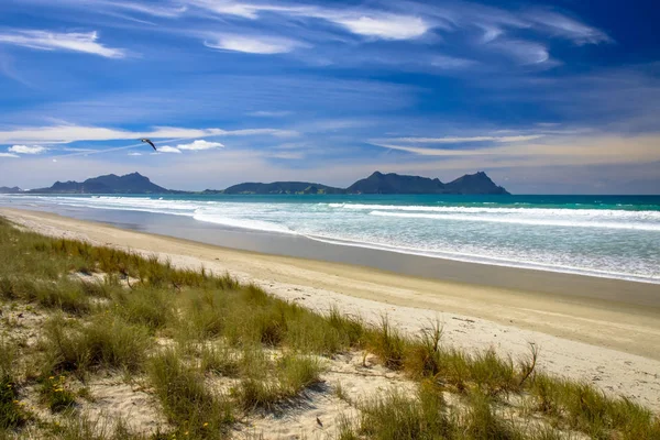 Vit sandstrand vid Waipu under vackra blå himmel — Stockfoto