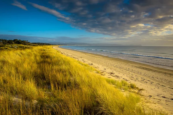 Uretiti beach Neuseeland — Stockfoto