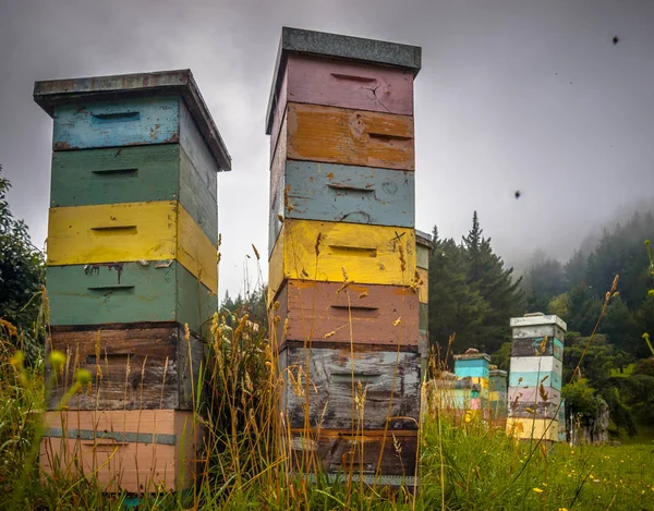 Colorful vintage wooden Bee Hives — Stock Photo, Image