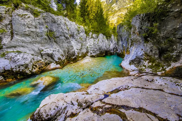 Vivid turquoise Soca river — Stock Photo, Image